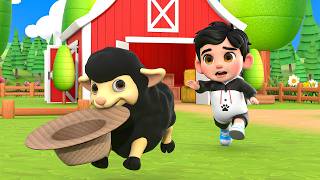 Ba Ba mouton joue à cache cache à la ferme du vieux MacDonald | Comptines LuLu LaLa