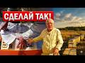 Как просто и быстро объединить пчел