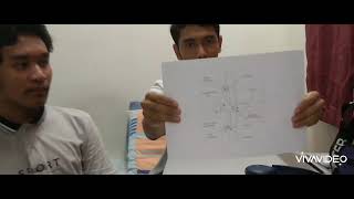 PROPELLER SYNCHROPHASING SYSTEM OPERATION