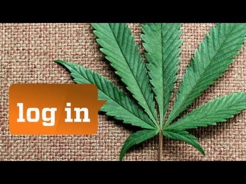 Drogen legalisieren? - log in (ZDF)
