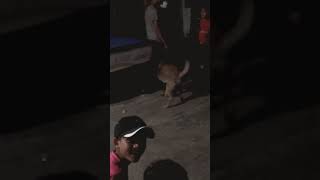 Hợp Tác Đi Anh Ơi