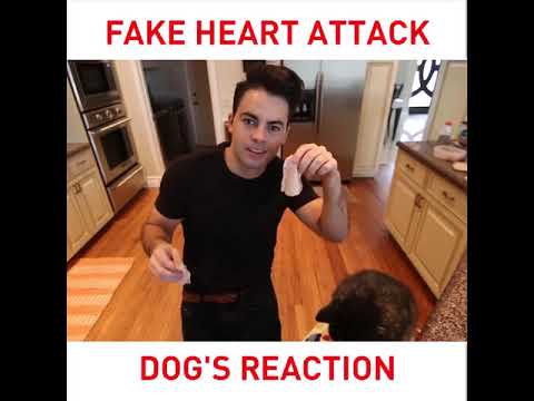 fake-heart-attack-prank