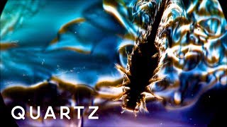 Tiny crustaceans can generate a lot of power