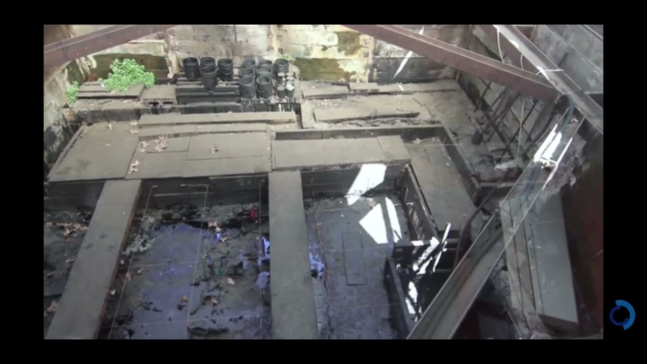 The La Brea Tar Pits. Preserving the fossil record. Revealing history for future generations.