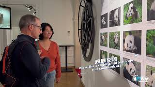 The Giant Panda Photography Exhibition and Sino-French Themed Cultural Exchange Activities Opens!