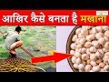 मखाना कैसे बनता है  |  MAKHANA KAISE HOTA HAI | HOW MAKHANA IS GROWN