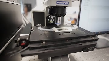 Algapro™: The Revolution in Phytoplankton Detection and Counting