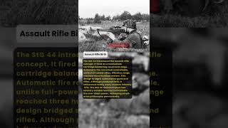 Assault Rifle Birth | Military History Talks