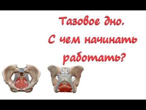 Тазовое дно / Упражнения для того чтобы начать - YouTube