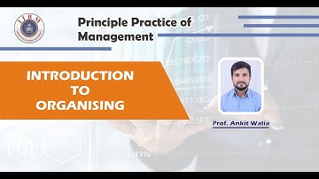Introduction to Organizing | IIBM Institute