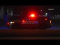 Driver Crashes Into Horse Before Slamming Into Pole In Houston