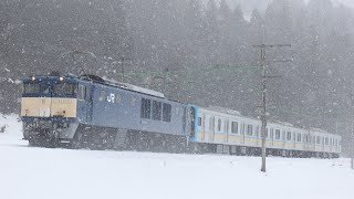 【新津配給】EF64 1031＋E131系T8編成 大沢〜石打通過