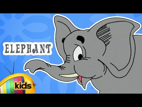 Animated Kids Action Song | Elle The Elephant | Animated Nursery Rhymes | Mango Kids