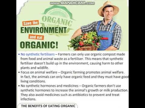 Save the environment and eat organic. Save the environment and eat organic. How can we protect the environment. Make a change. Environment essay.
