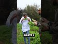 differenze tra #supermercato e #orto con @ChefStefanoCerveni | Orto dello #chef #mattthefarmer