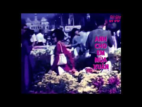 Video Anh Cho Em Mùa Xuân (Thu thanh trước 1975) - youtube