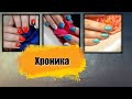 #63(2021)Хроника одного клиента.  БЕЗ ОТСЛОЕК!!! В чем  секрет!!!???