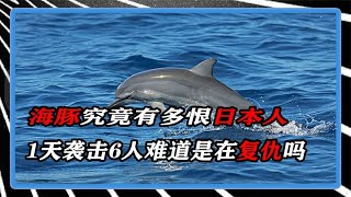 海豚究竟有多恨日本人，1天袭击6人，难道海豚是在复仇吗？ by 知识探知馆【官方频道】 224 views 1 month ago 3 minutes, 58 seconds