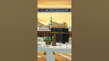 أَلْهَاكُمُ التَّكَاثُرُ ١۝ | سورة التكاثر | وديع اليمني | تلاوة هادى وخاشعة وجميلة