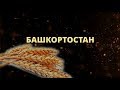 Стих | О, мой Башкортостан! Ruslan Safin