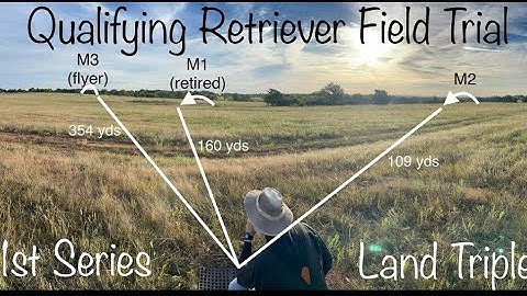 AKC Qualifying Retriever Field Trial: 1st Series - Sooner Club