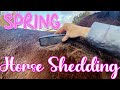 Relaxing And Satisfying Horse Shedding ASMR 2023