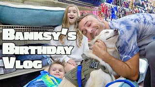 Buying Our Dog Whatever He Touches For His BIRTHDAY!! POMSKY PUPPY DOG VLOG!!