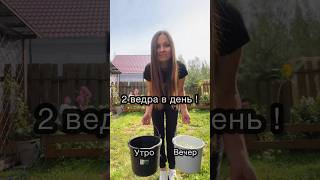 СКОЛЬКО ВЁДЕР ЕСТ АЛАБАЙ В ДЕНЬ ? || How many buckets does ALABAI DOG eat?