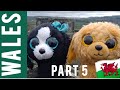 Beanie boo coconut and tamoo  trip to wales  part 5