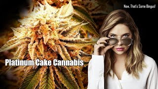 Platinum Cake Cannabis
