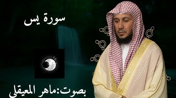 تلاوة خاشعة من سورة يس بصوت ماهر المعيقلي | راحة نفسية لا توصف 🌙