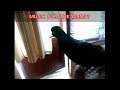 Beaky the funny wild pigeon visitor enjoying reggae music