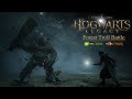 Hogwarts legacy  forest troll  hard mode 4k ultra rtx 4090