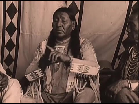 Chief Strange Owl
