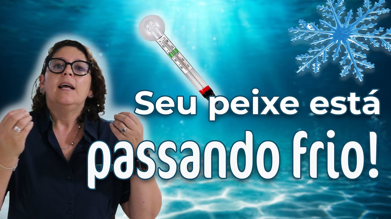 CUIDADO!!! SEU PEIXINHO PODE ESTAR PASSANDO FRIO - GUIA DO USO DE TERMOSTATO.