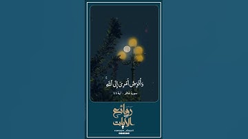 سورة غافر #علي_محمد_زاهر
