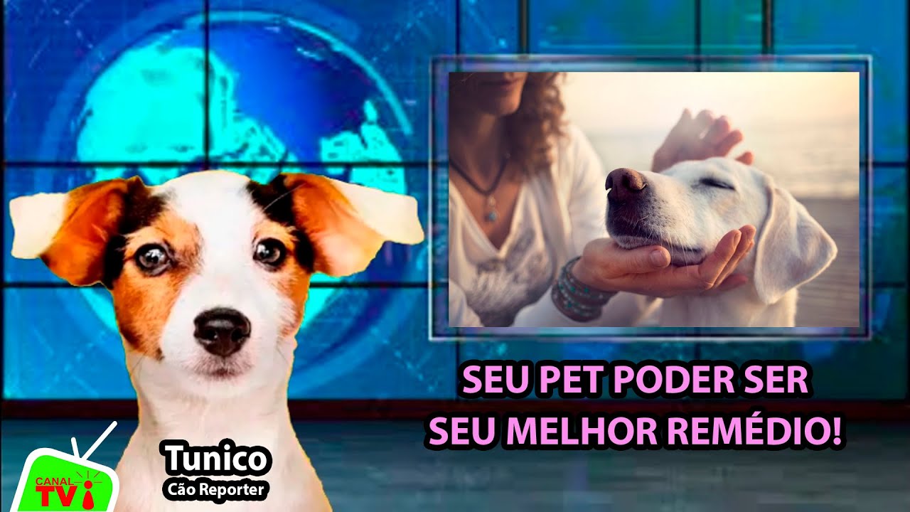 CANAL TVi Aniumal - Tunico ‐ SEU PET PODER SERSEU MELHOR REMÉDIO!