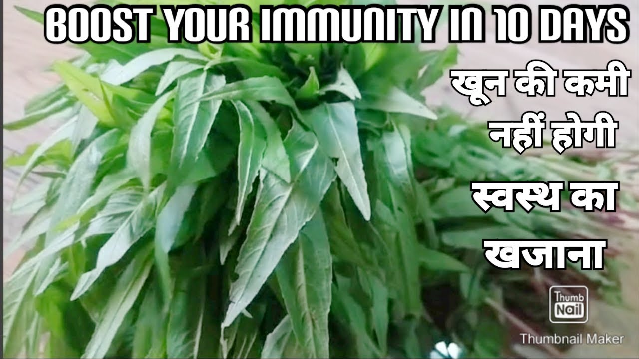 Kule khara saag immunity booster|kule khara pata ka saag khana suru karde aur dekhiye iska chamatkar