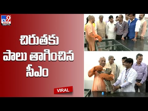 చిరుతకు పాలు తాగించిన సీఎం - TV9