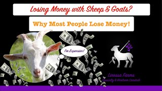 Most of You Will Lose Money Part 1: Raising Sheep or Goats for Profit. What They Won't Tell You