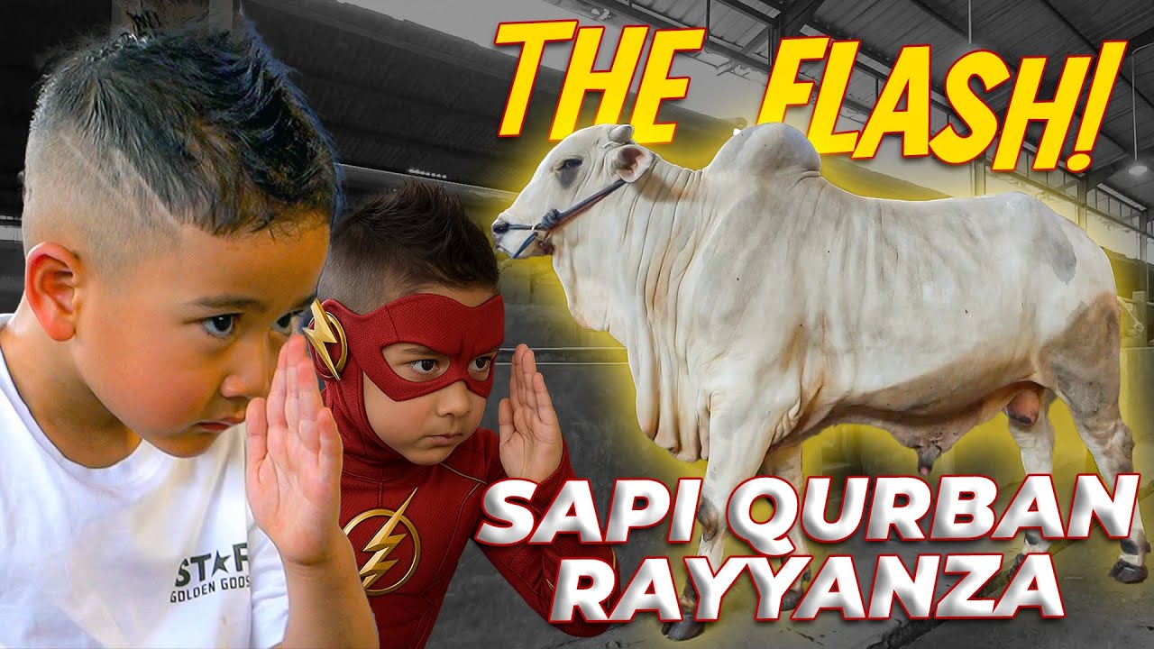 RAYYANZA PENASARAN SAMA SAPI DIA DI SETIA FARM JAWA BARAT!