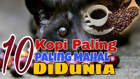 10 Kopi Termahal Dunia | Harga Pecah Kepala!!