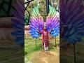 Big wings😱😱 lamni park;(part2)#bastar #chhattisgar #shreeminivlogs #tranding #birdpark #cgshorts