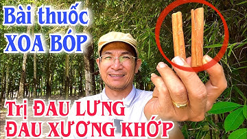 Cách làm Rượu Xoa bóp trị Đau lưng, Xương Khớp. PHAN HẢI Channel