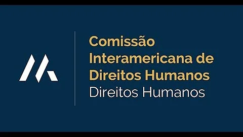 Quais as funções da Comissão Interamericana de Direitos Humanos?
