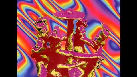 Paradise Connection - Jeboa-Electrogarden