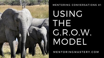 Mentoring Conversations