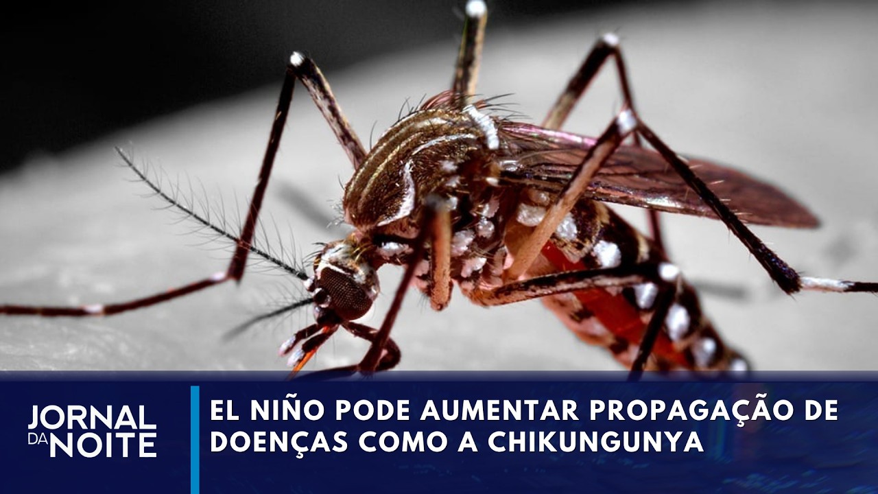 Efeitos do El Niño podem aumentar propagação da Chikungunya