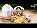 12th  Nutrition உயர் இரத்த அழுத்ததிற்கான திட்ட உணவு பாடம் 11 Kalvi Tv