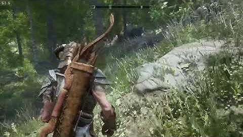 Realistic Skyrim SE Forests - NAT 3 ENB